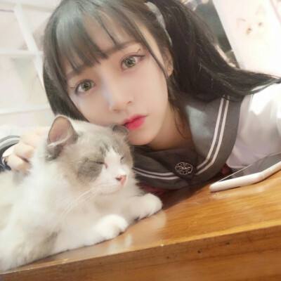 超次元战姬ol破解版